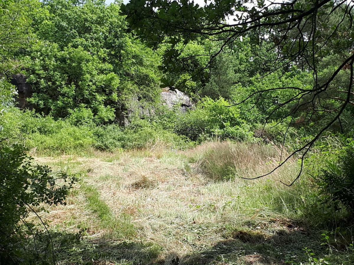 Apfelscheune Cannewitz Malschwitz Exteriér fotografie